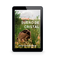 Sueño de cristal-ebook